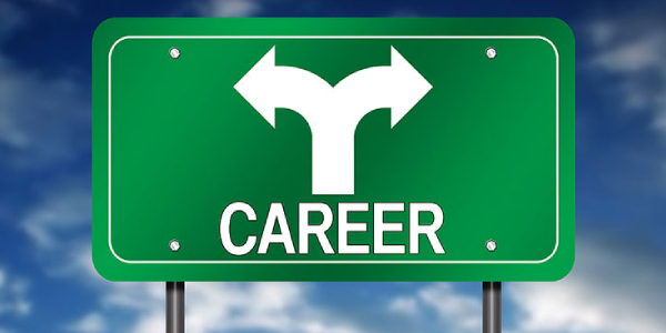 A Sign Board Representing The Directions Of Career Option.