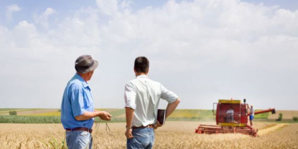 Two Persons Standing On The Ground & Discussing About Farming.