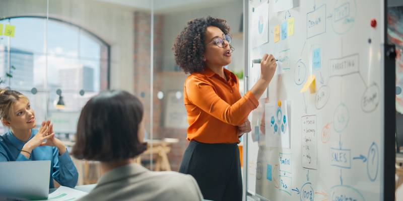 In this Image woman standing in front of a white board explains the SDLC concept.